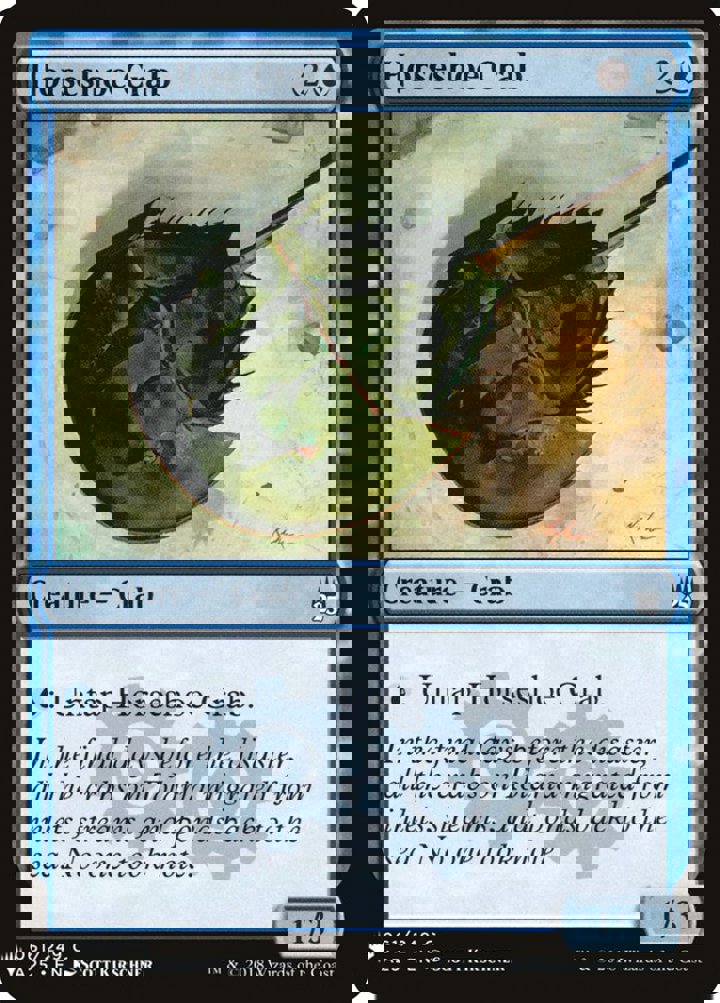 Horseshoe Crab