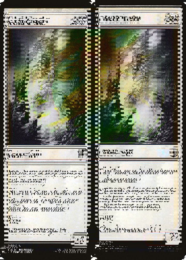 Celestial Crusader