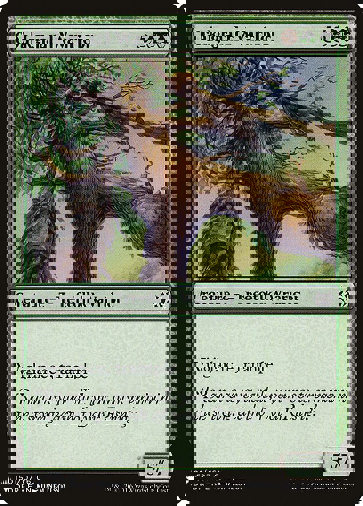 Oakgnarl Warrior