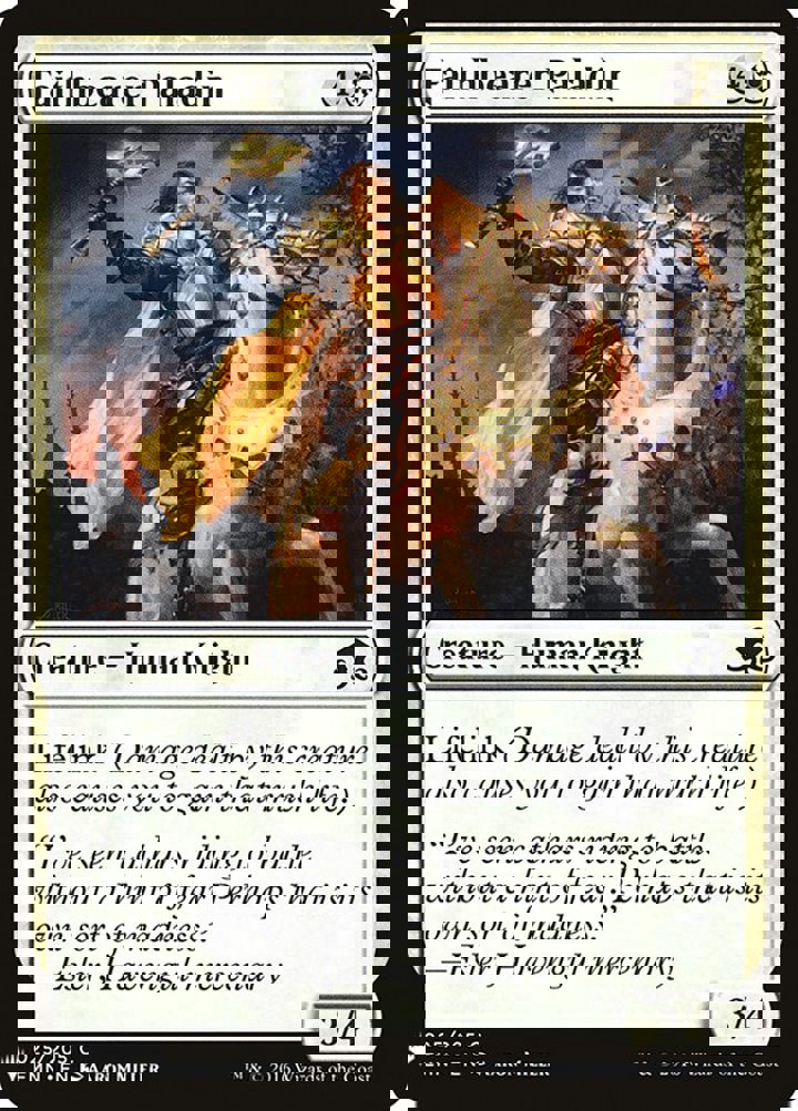 Faithbearer Paladin