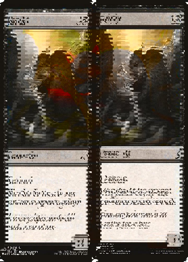 Ruin Rat