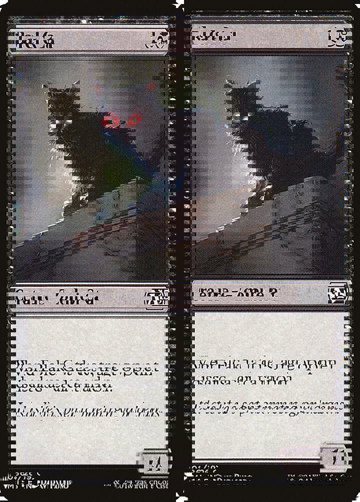 Black Cat