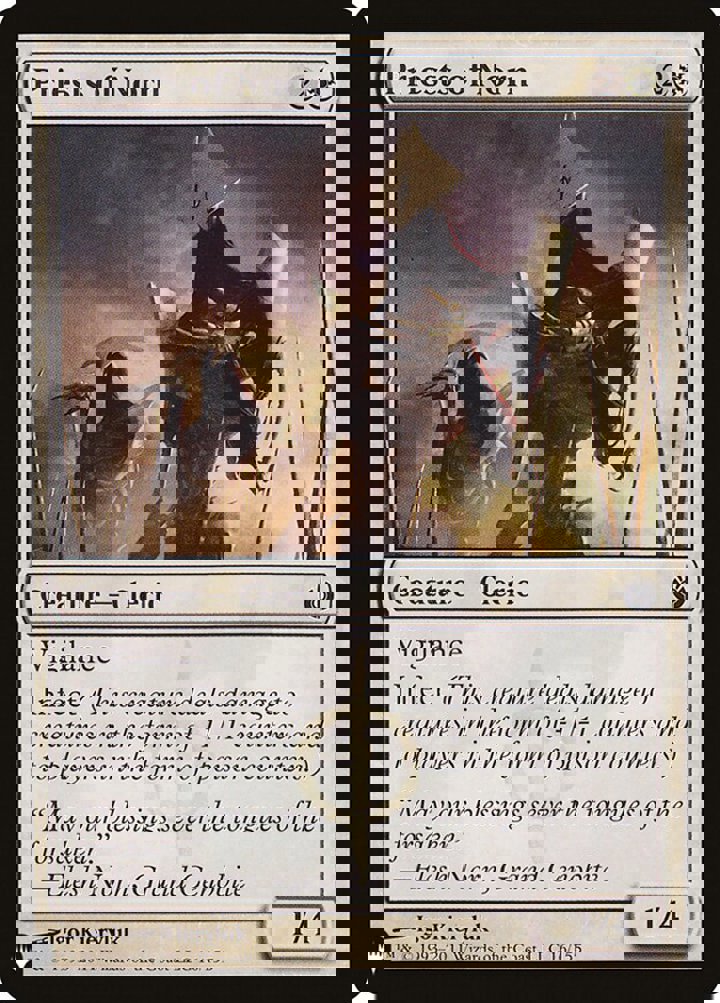 Priests of Norn