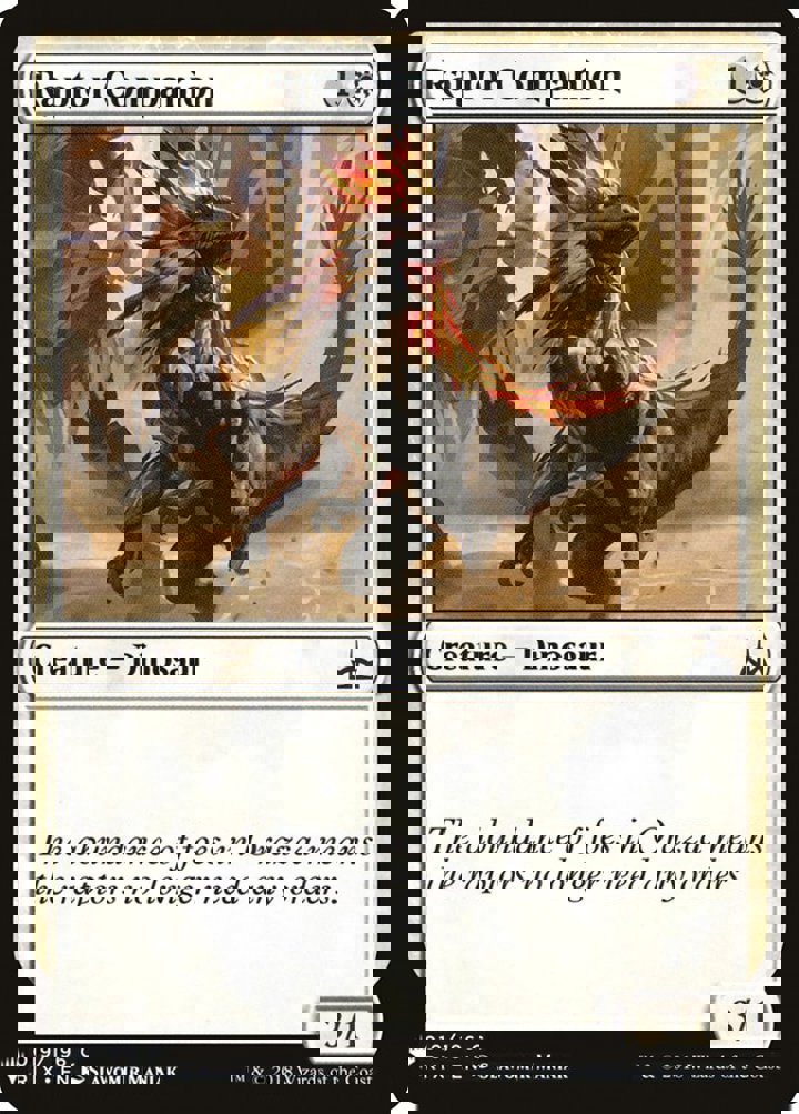 Raptor Companion