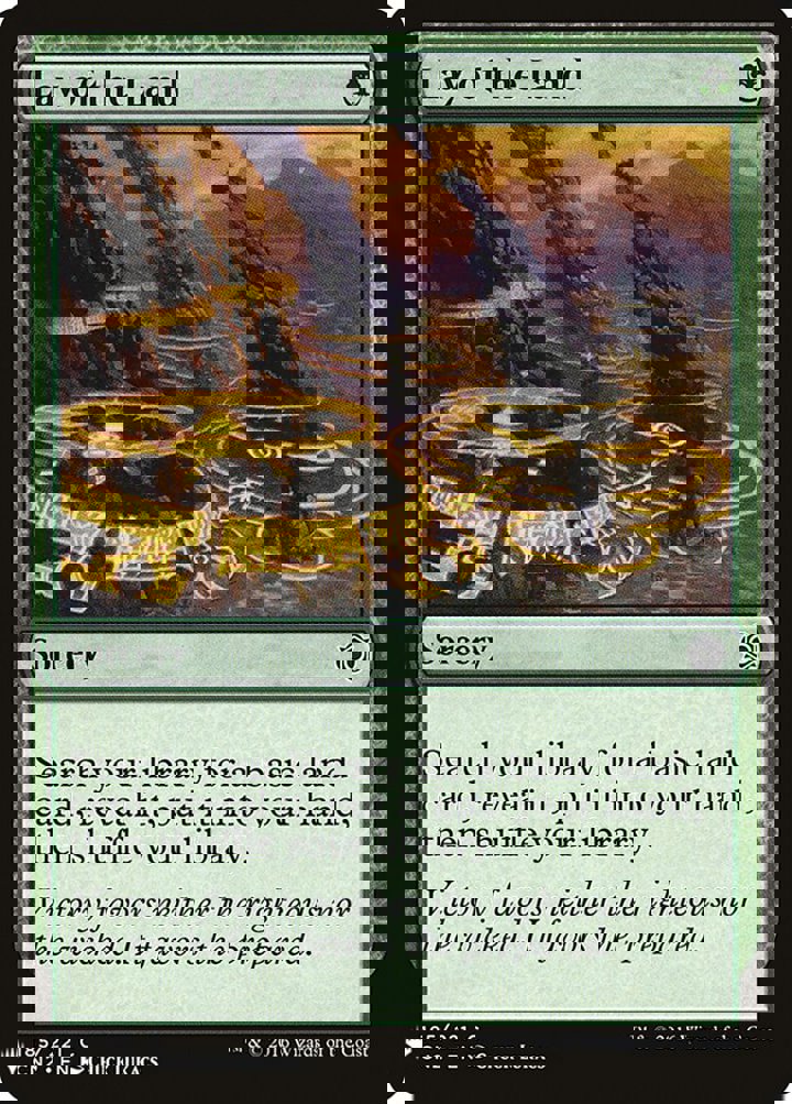 Lay of the Land