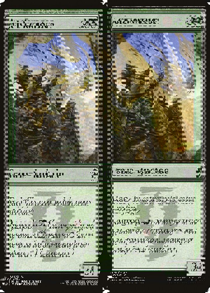 Aerie Bowmasters