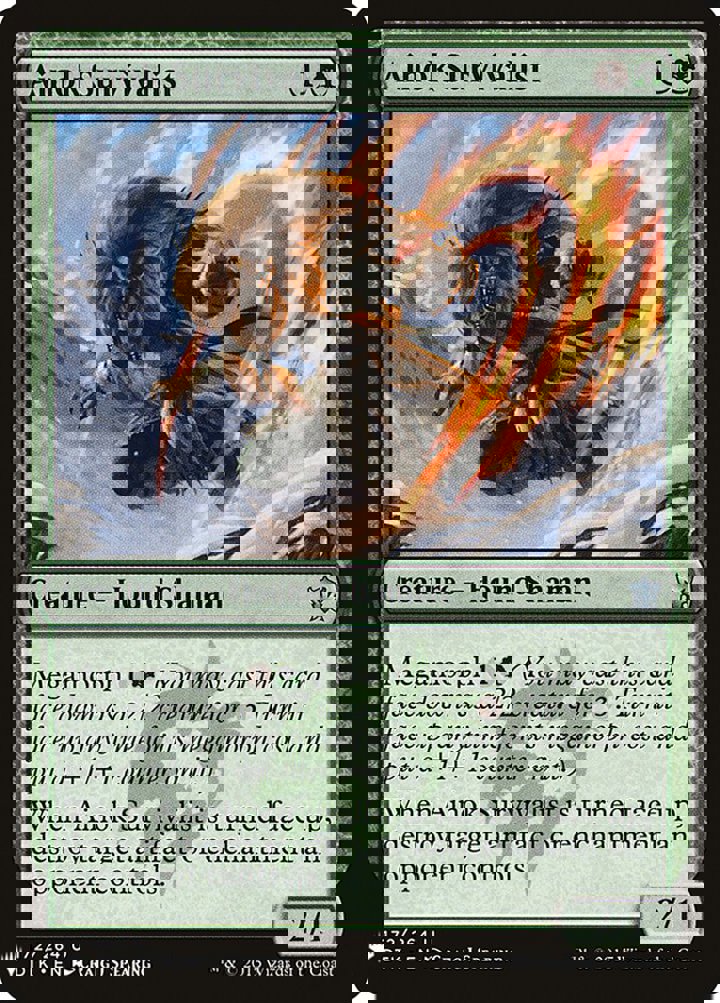 Ainok Survivalist