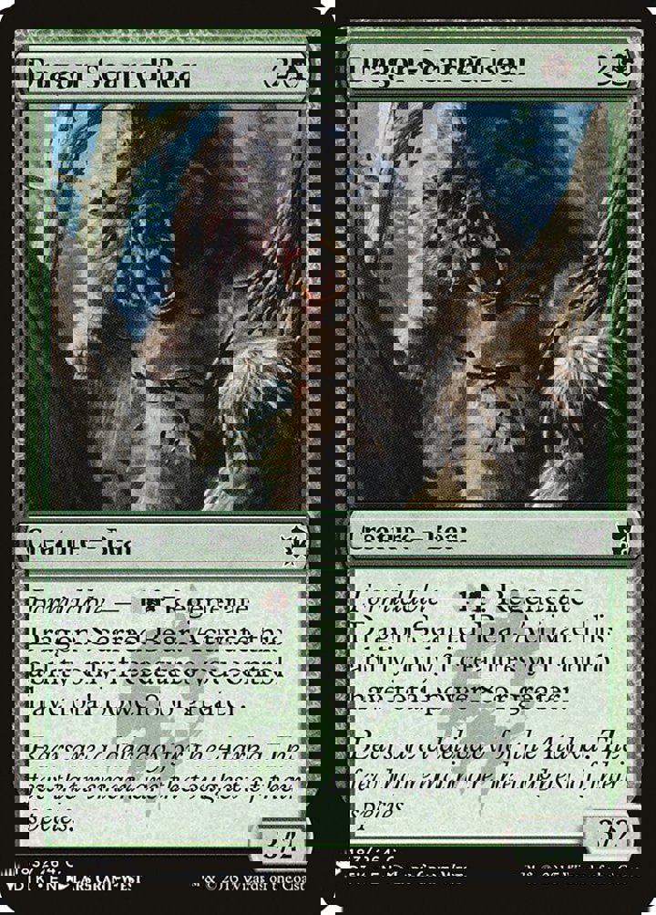 Dragon-Scarred Bear