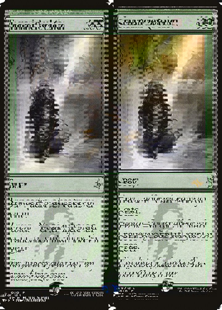 Shamanic Revelation