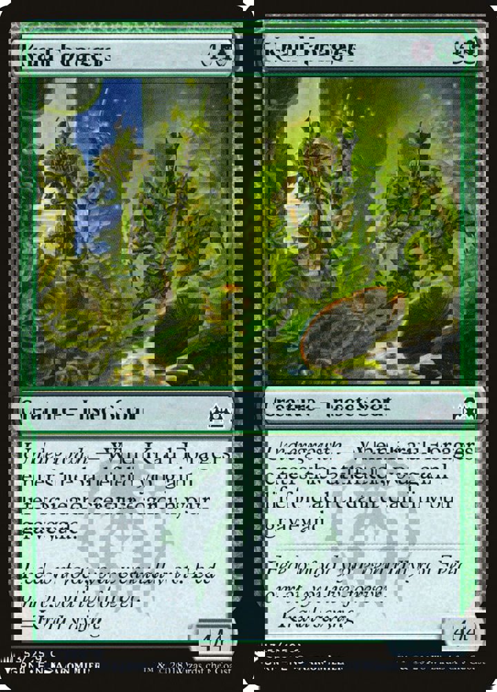 Kraul Foragers