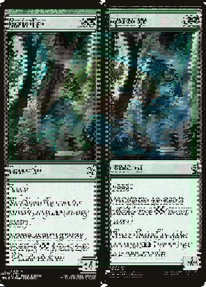 Riparian Tiger