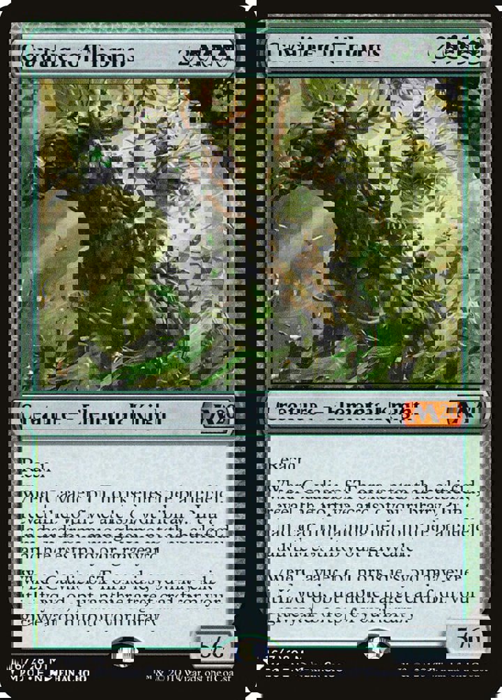 Cavalier of Thorns