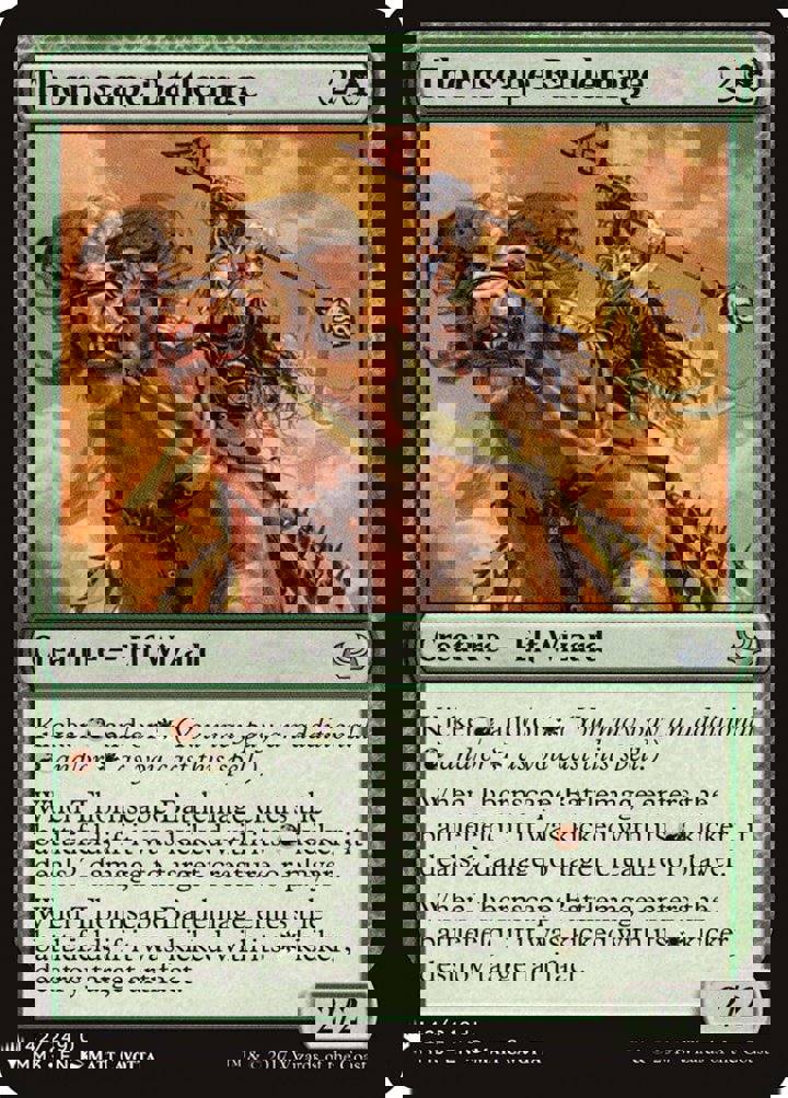 Thornscape Battlemage