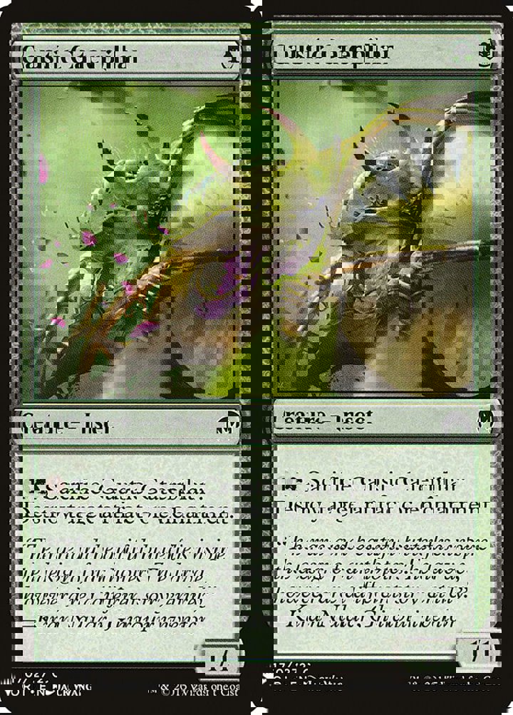 Caustic Caterpillar