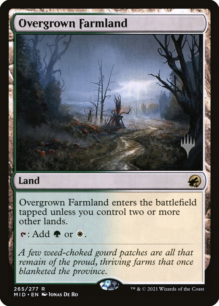 Overgrown Farmland (V.2)
