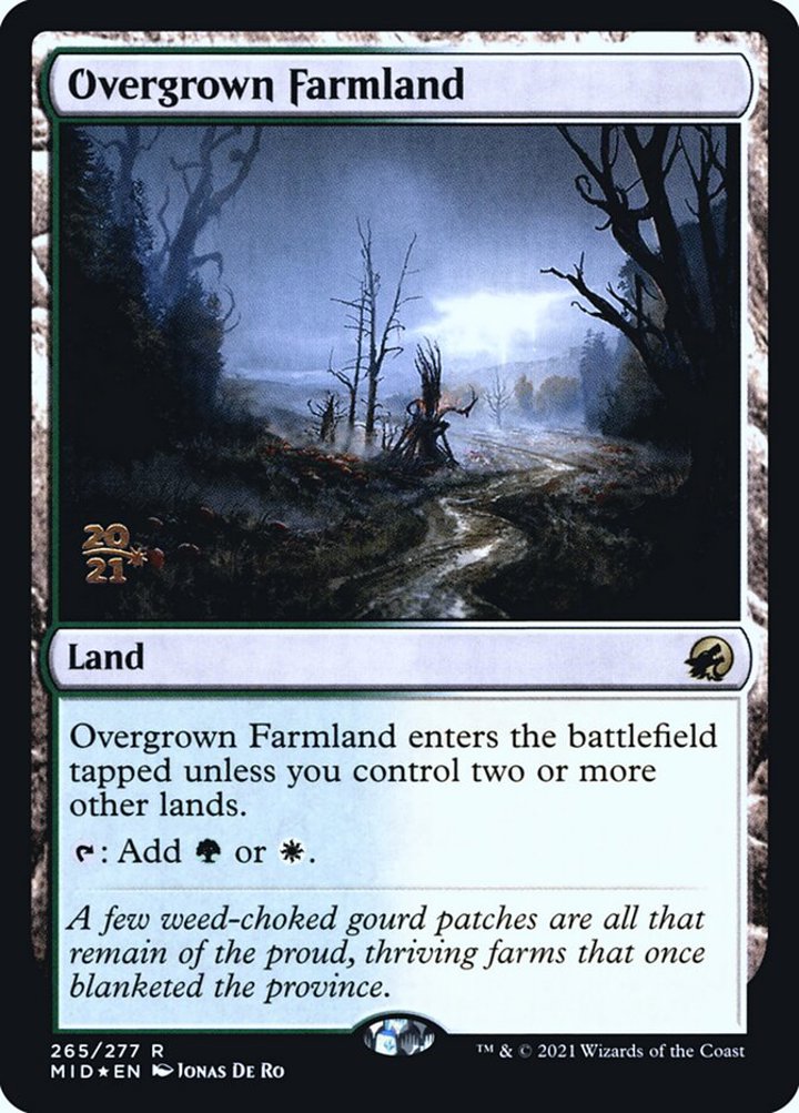 Overgrown Farmland (V.1)