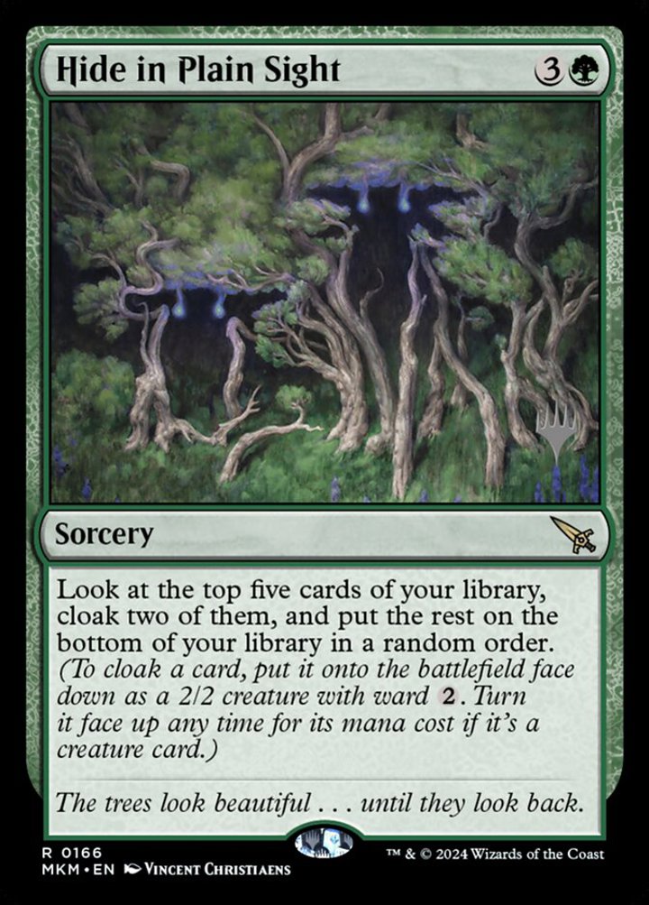 Hide in Plain Sight (V.2)