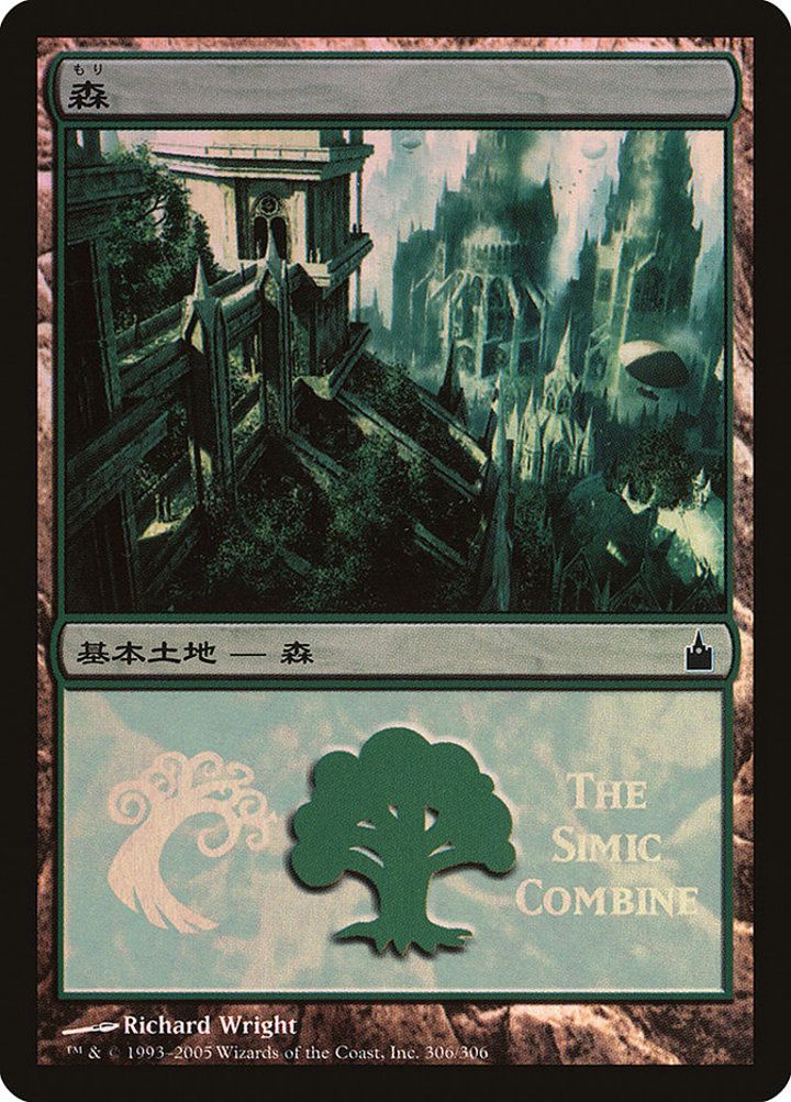 Forest (V.4)