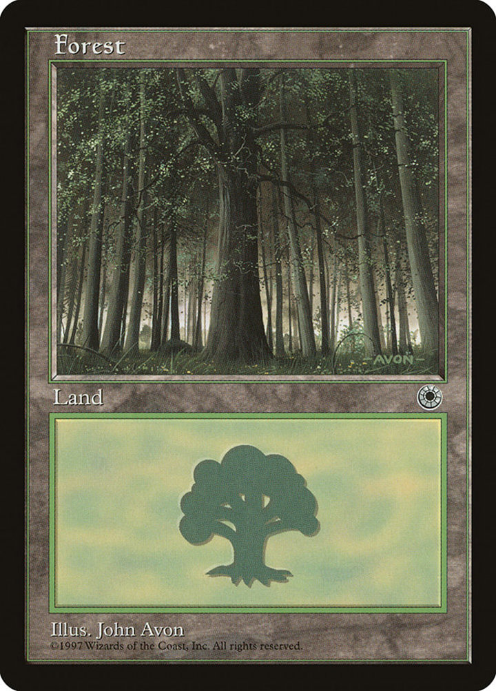 Forest (V.1)