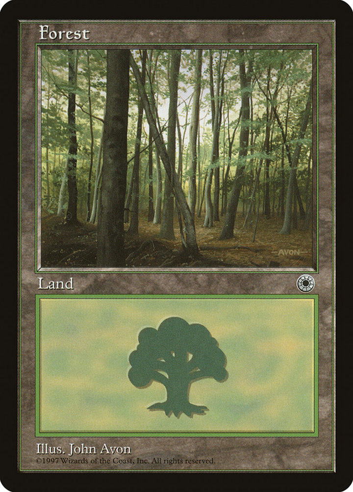 Forest (V.2)