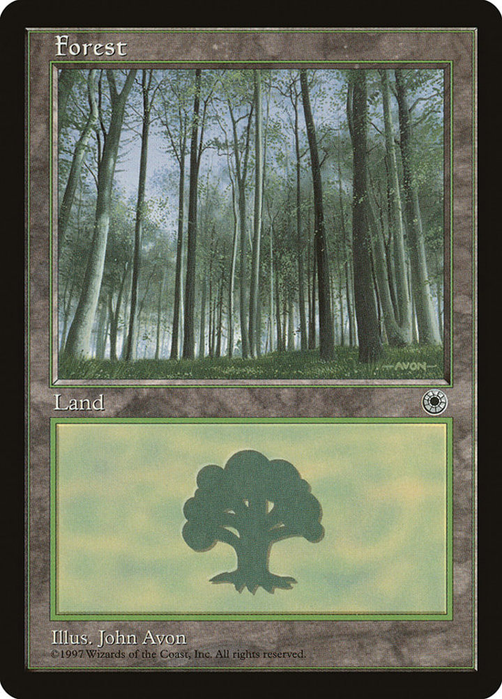 Forest (V.4)
