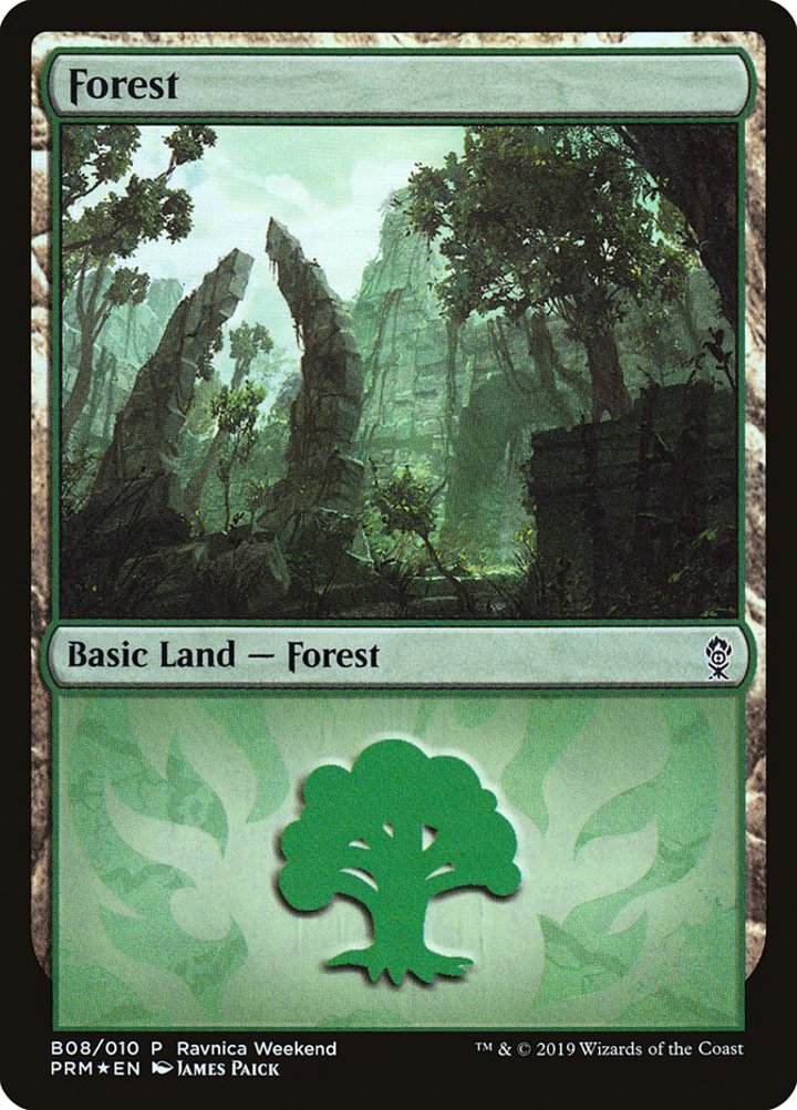 Forest (V.3)