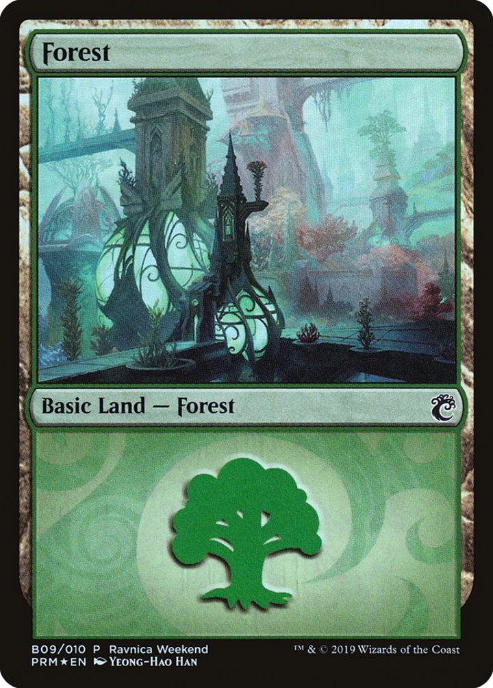 Forest (V.4)