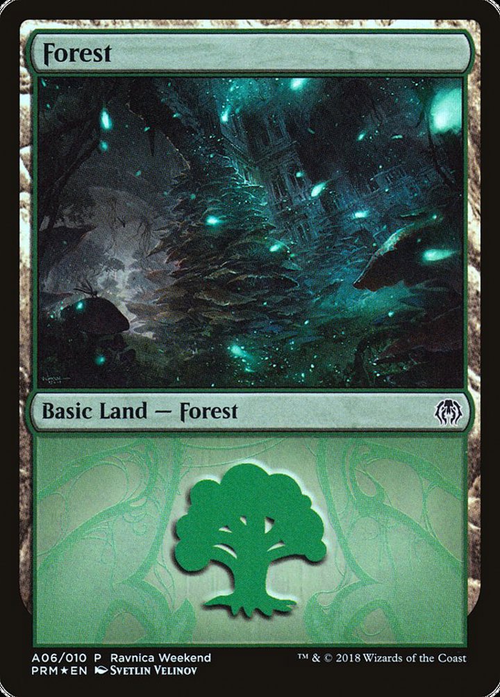 Forest (V.1)