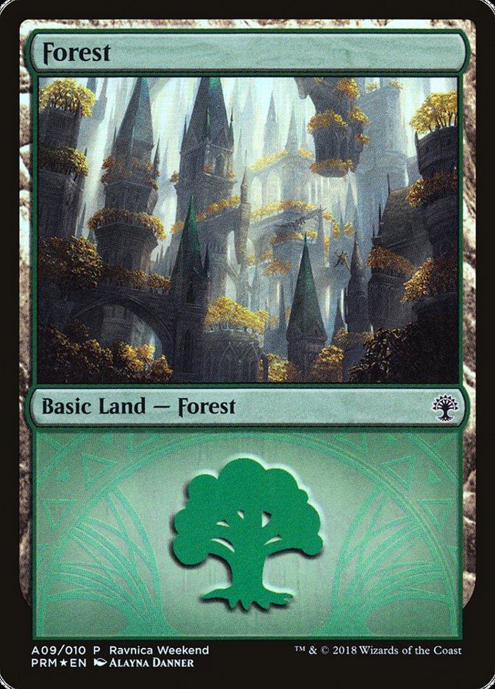 Forest (V.2)