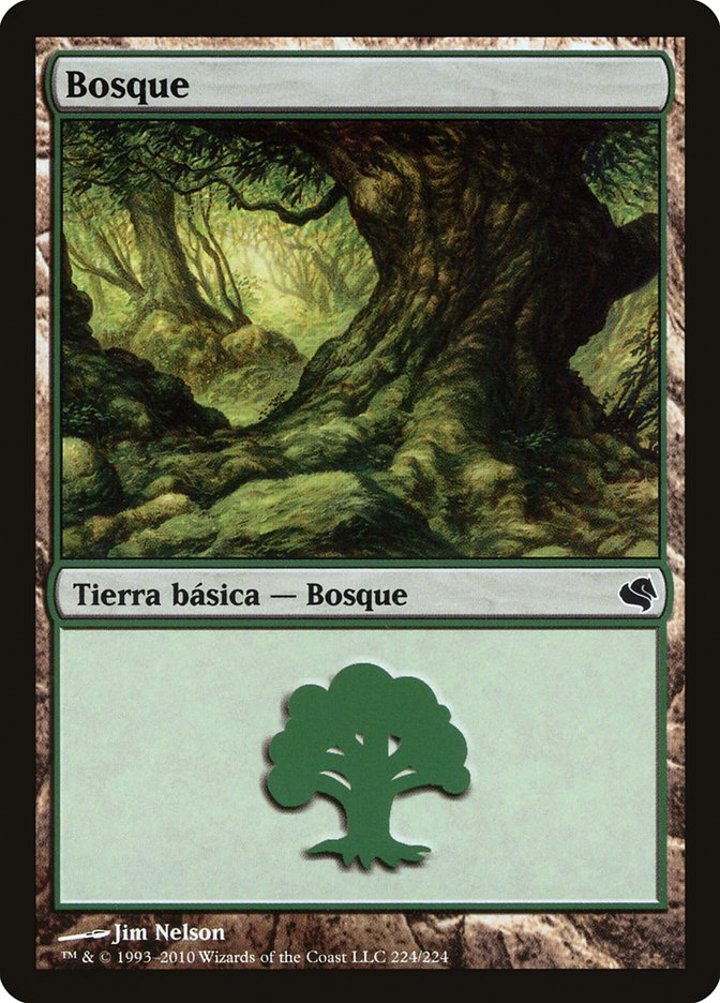 Forest (V.4)