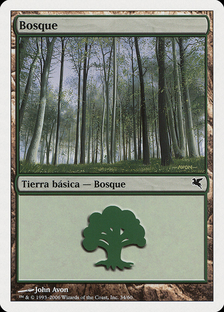 Forest (V.12)