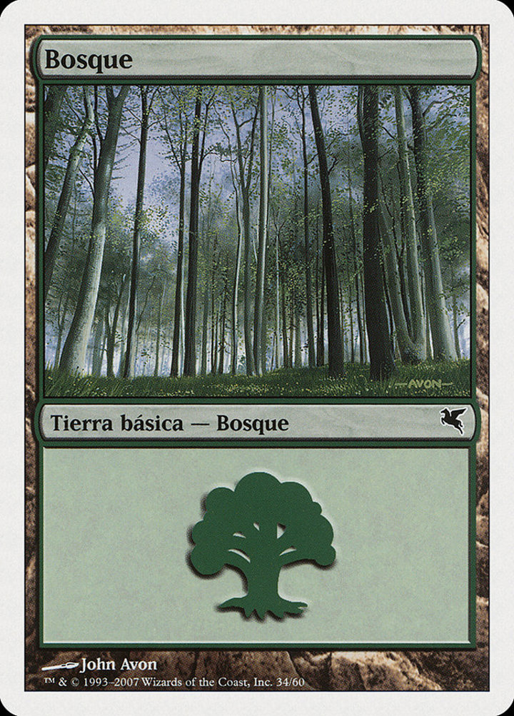 Forest (V.48)