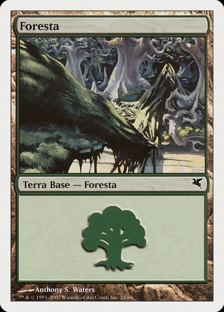 Forest (V.55)
