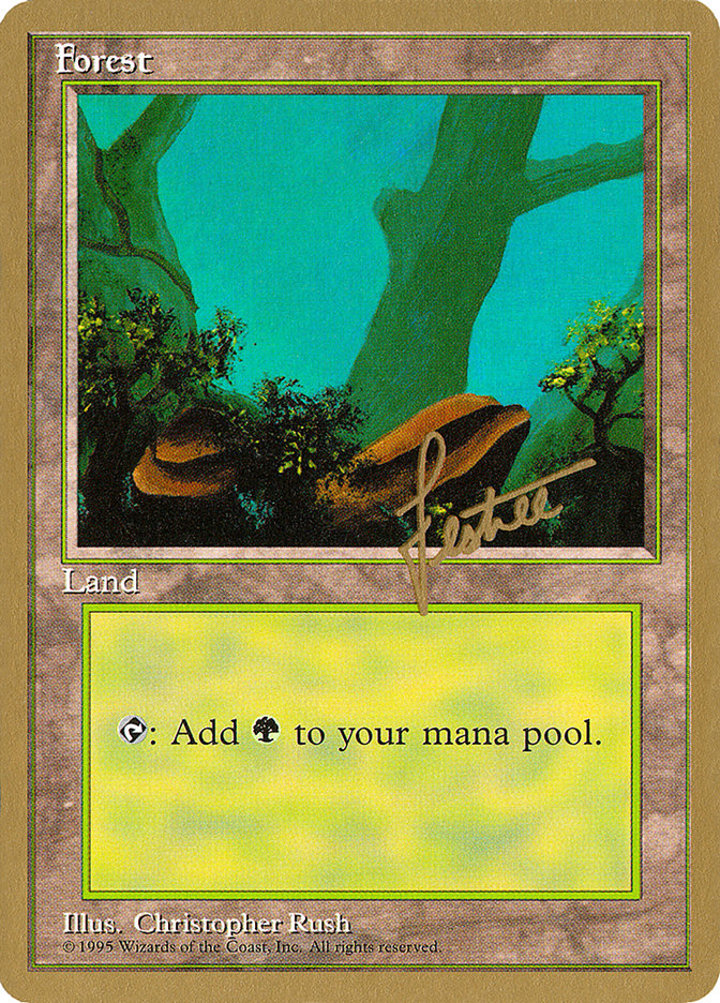 Forest (V.2)