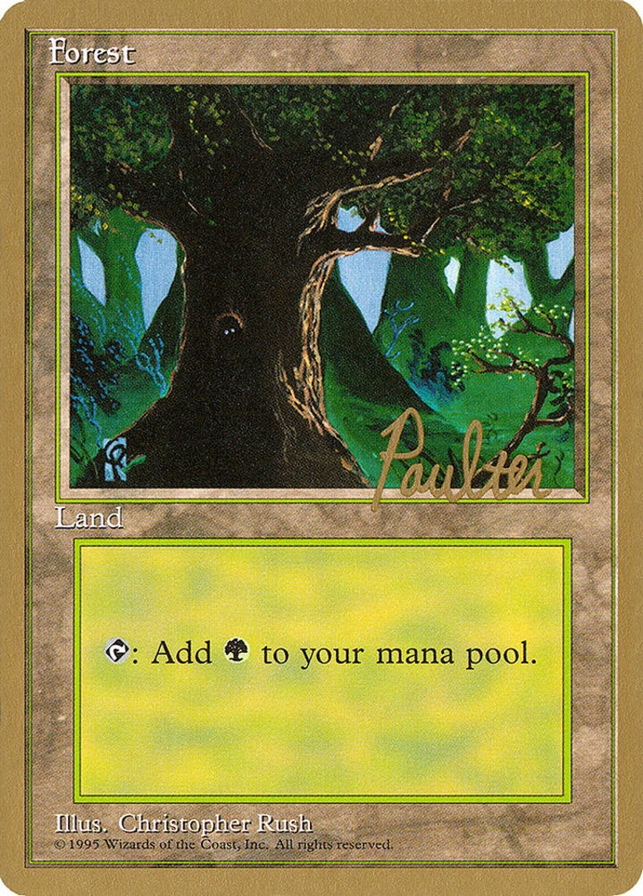 Forest (V.2)