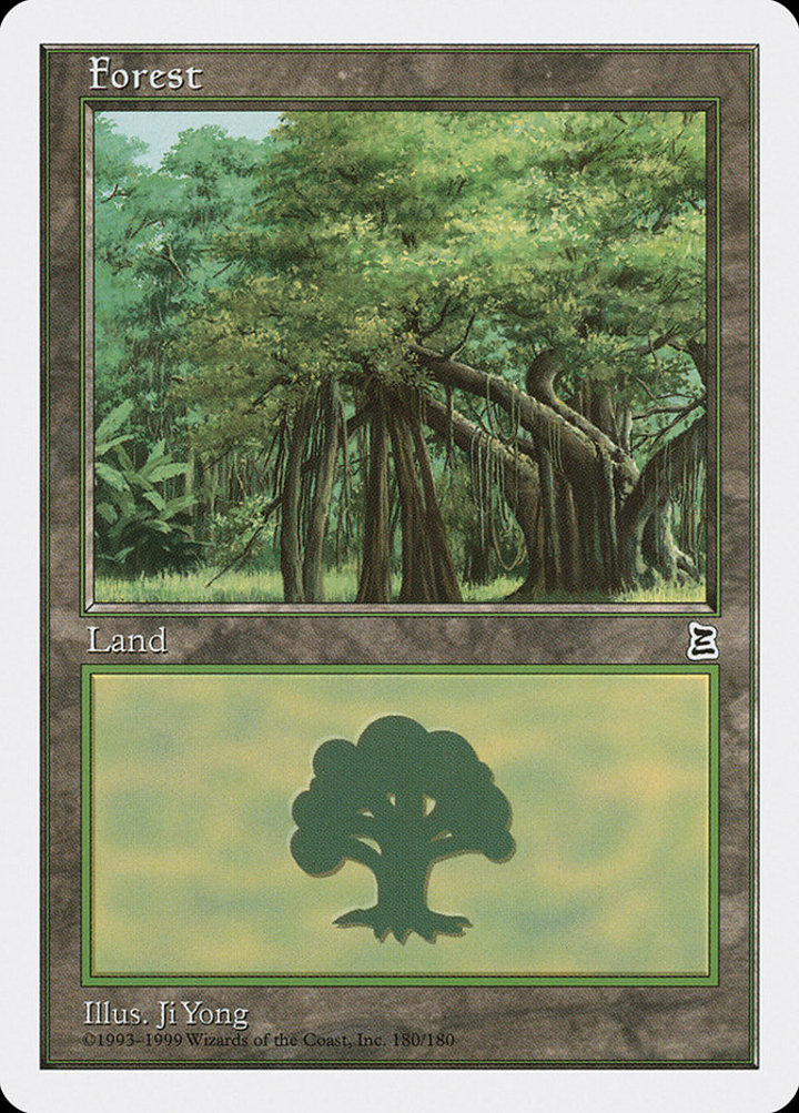 Forest (V.3)