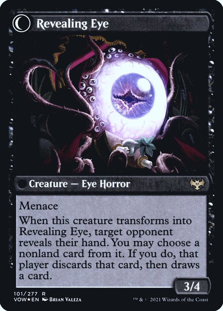 Concealing Curtains // Revealing Eye (V.1)