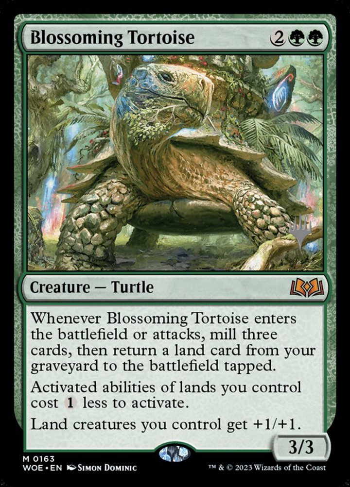 Blossoming Tortoise (V.2)
