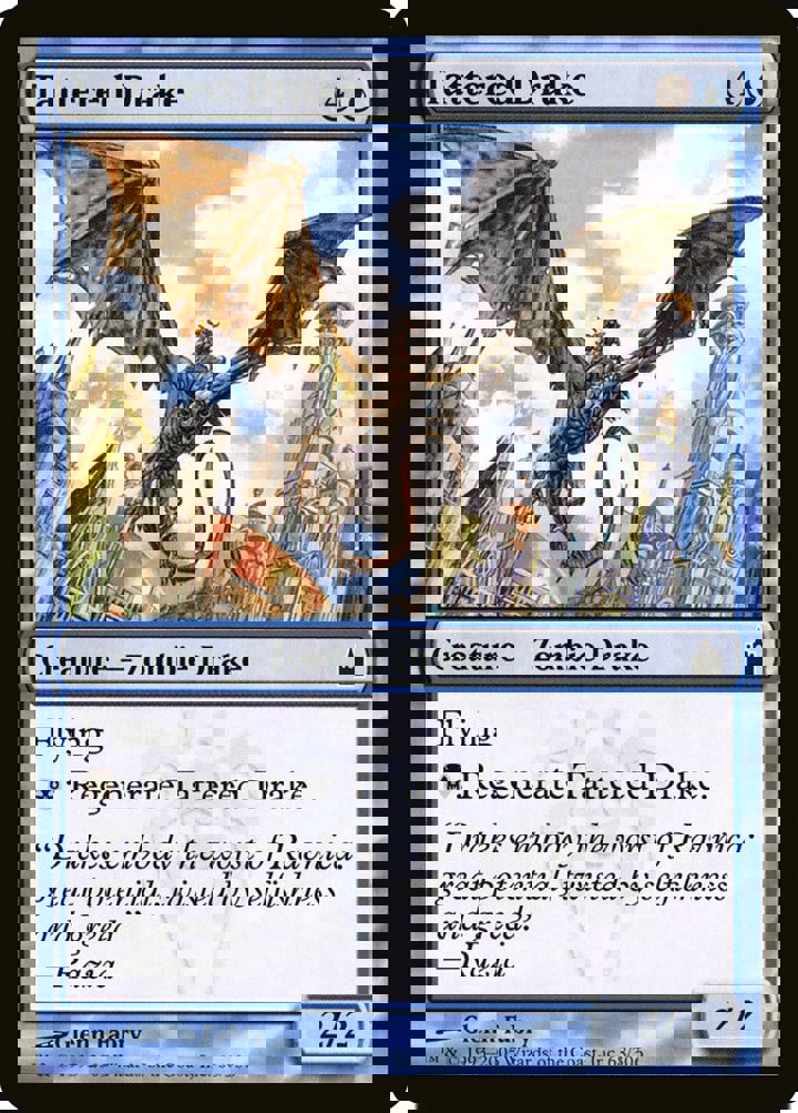 Tattered Drake