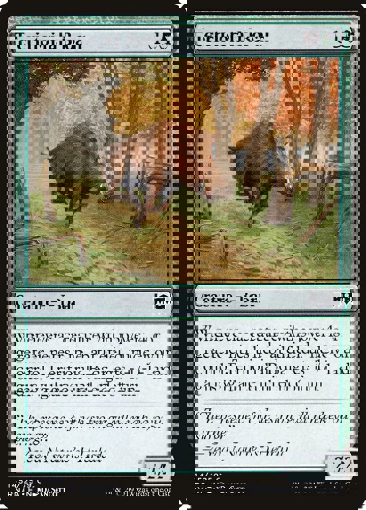 Territorial Boar