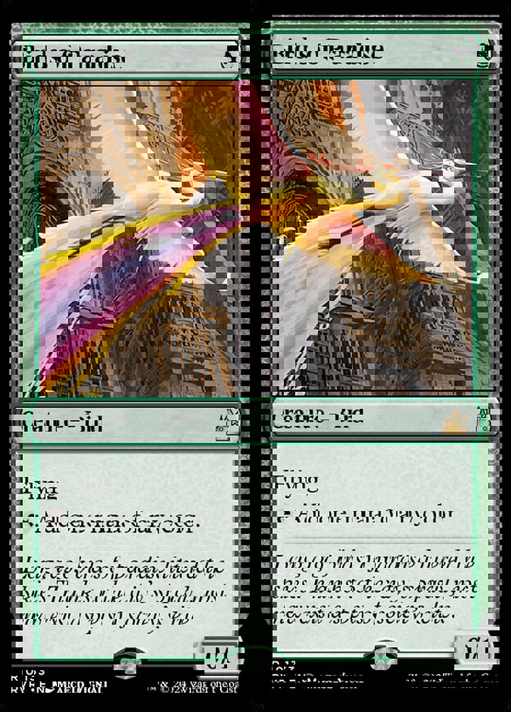 Birds of Paradise