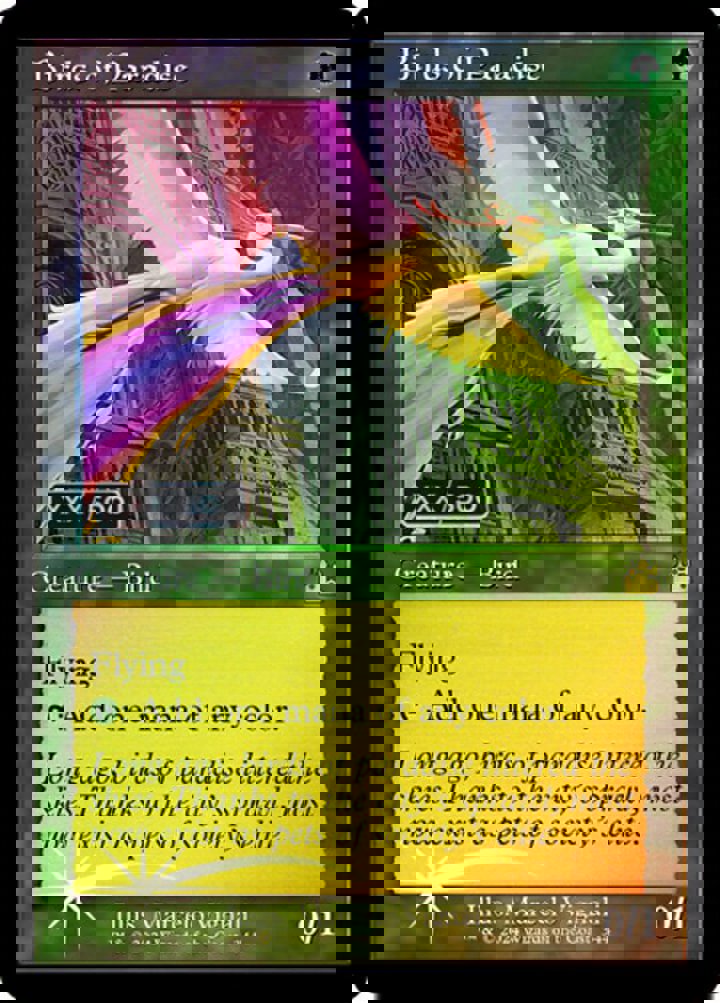 Birds of Paradise (V.3)