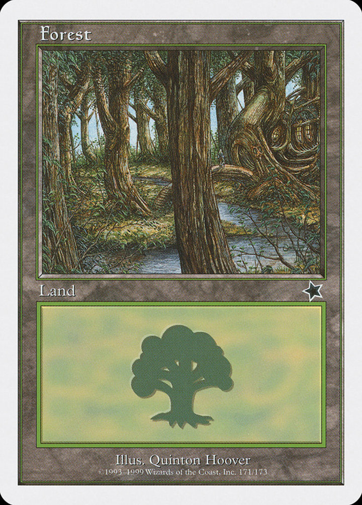 Forest (V.2)