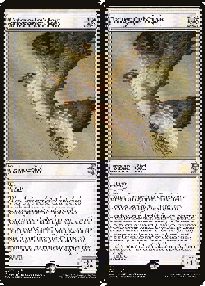 Cartographer's Hawk