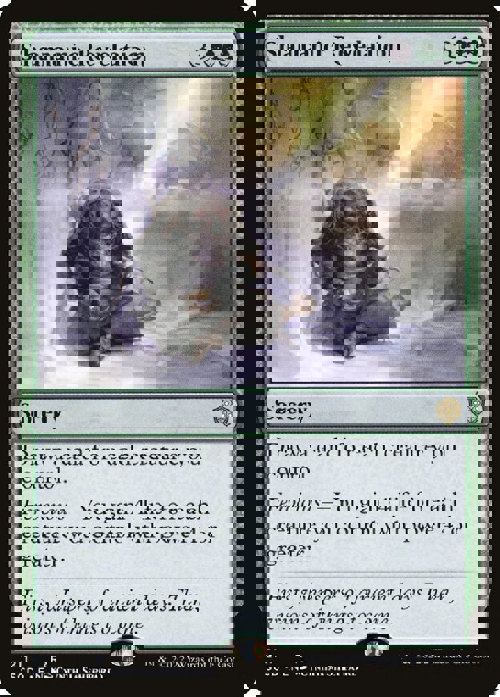 Shamanic Revelation