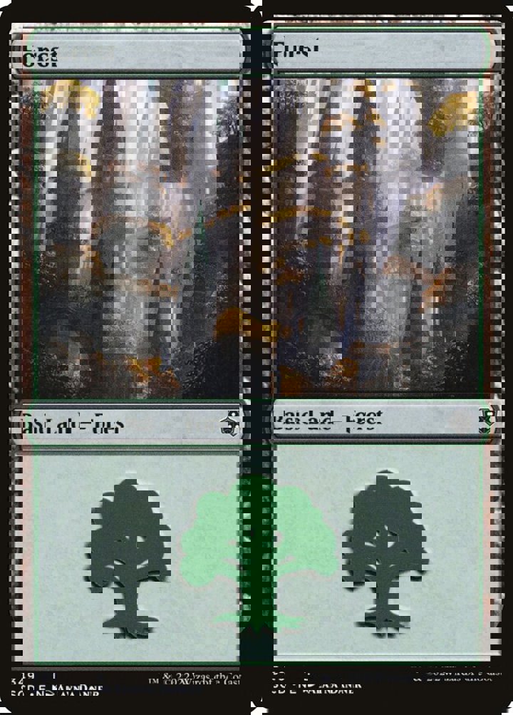 Forest (V.1)