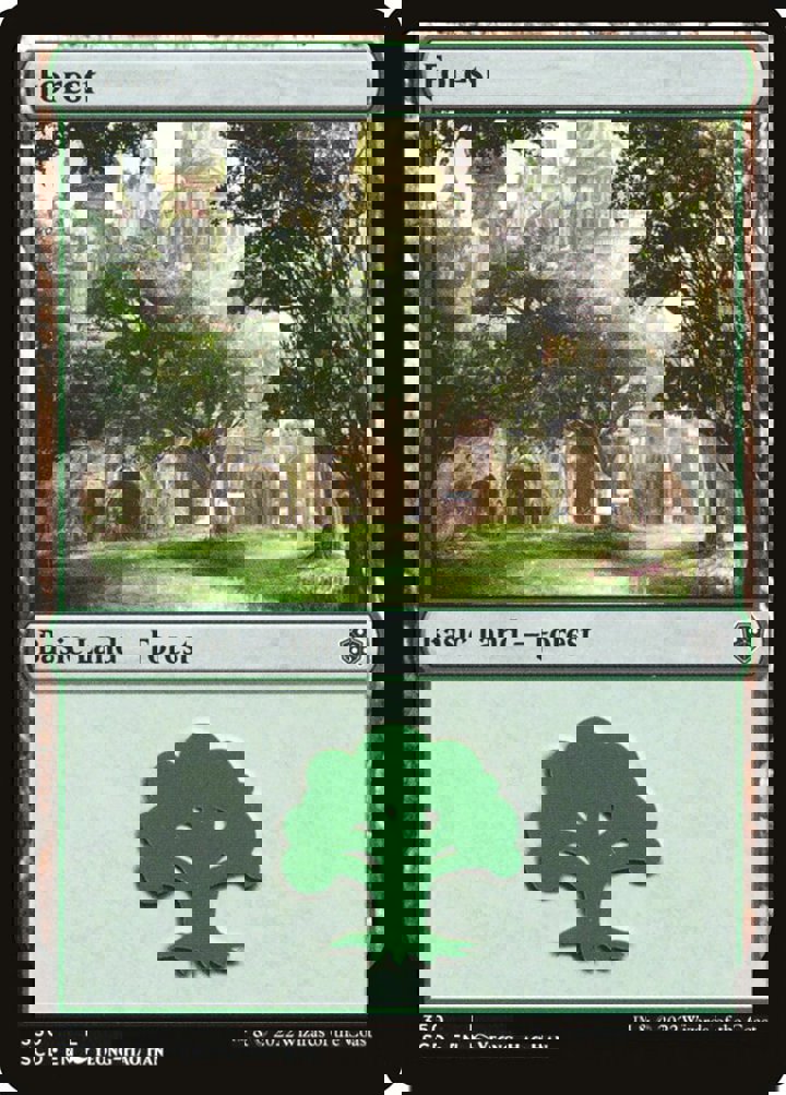 Forest (V.2)