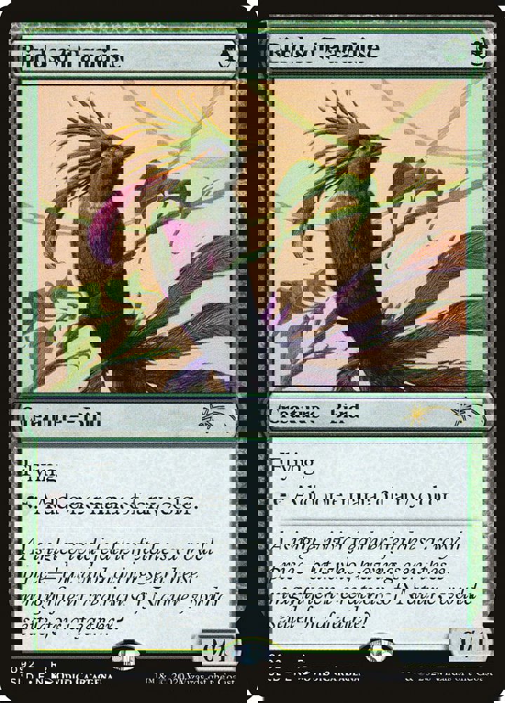Birds of Paradise