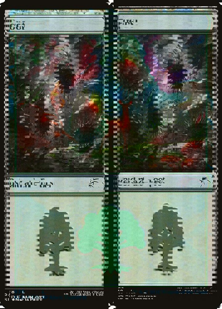 Forest (V.11)