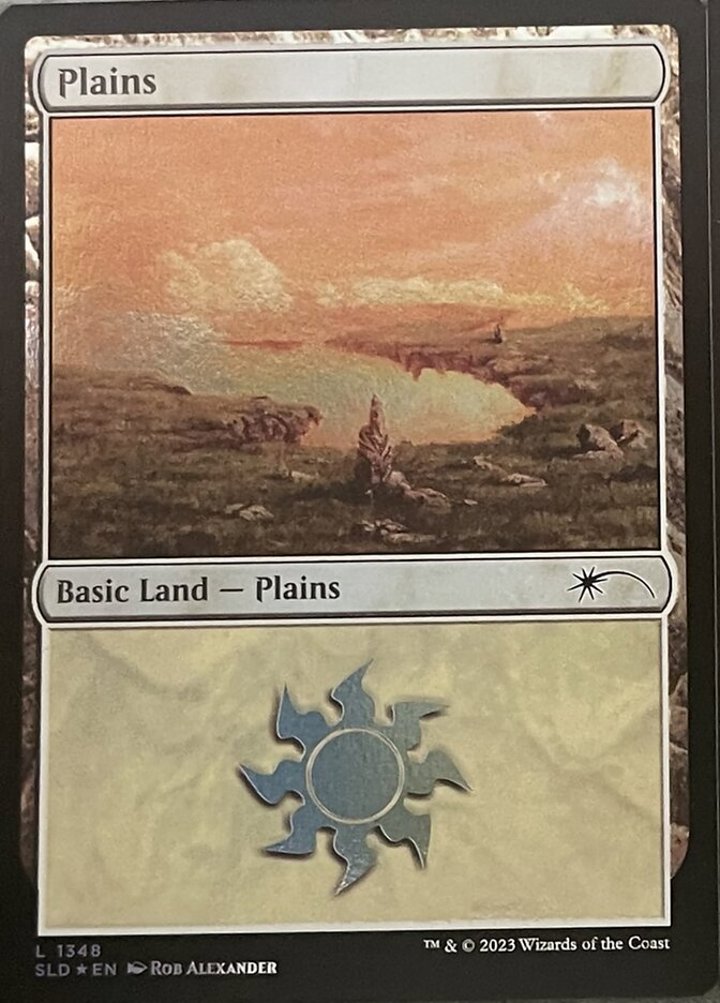 Plains (V.1)